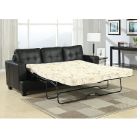Samuel Black Sofa Sleeper